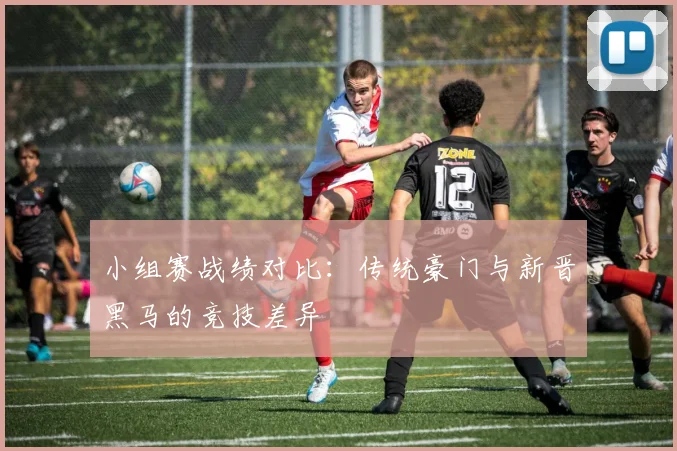 小组赛战绩对比:传统豪门与新晋黑马的竞技差异