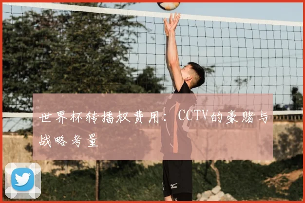 世界杯转播权费用:CCTV的豪赌与战略考量