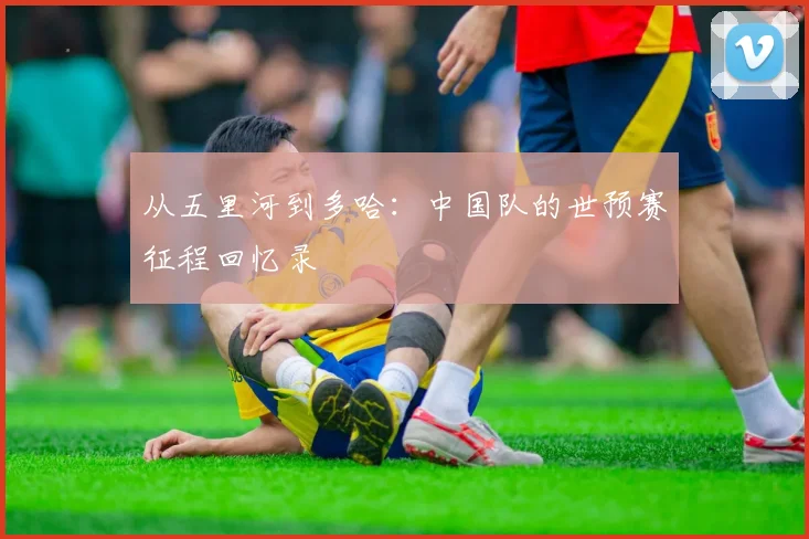 从五里河到多哈:中国队的世预赛征程回忆录
