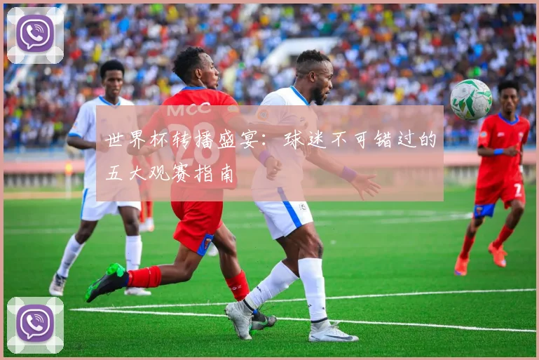 世界杯转播盛宴：球迷不可错过的五大观赛指南