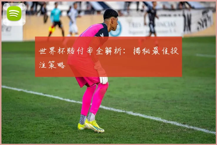 世界杯赔付率全解析:揭秘最佳投注策略