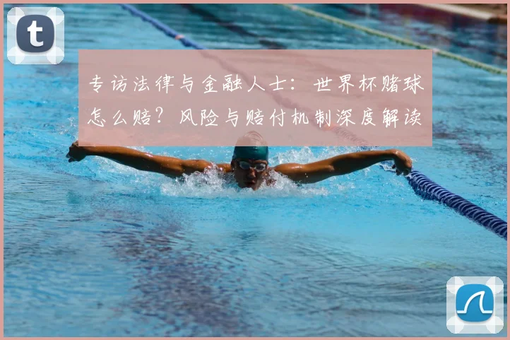 专访法律与金融人士：世界杯赌球怎么赔？风险与赔付机制深度解读