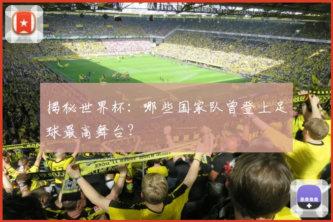 揭秘世界杯:哪些国家队曾登上足球最高舞台?