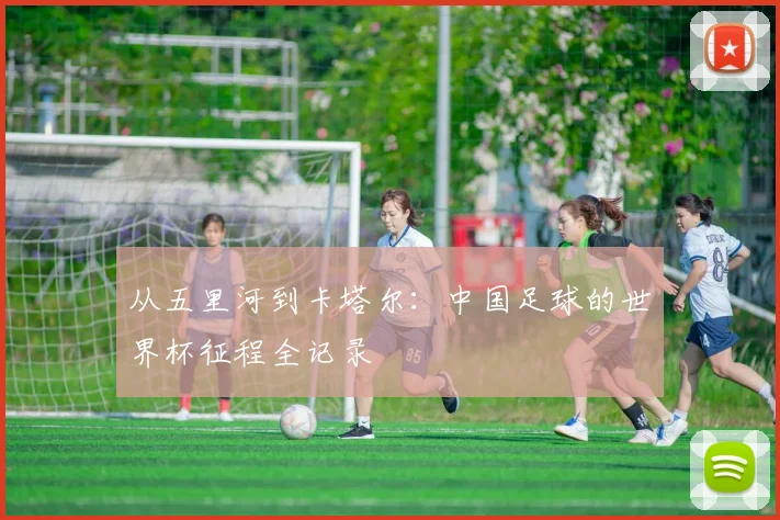 从五里河到卡塔尔:中国足球的世界杯征程全记录