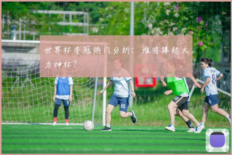 世界杯夺冠热门分析：谁将捧起大力神杯？