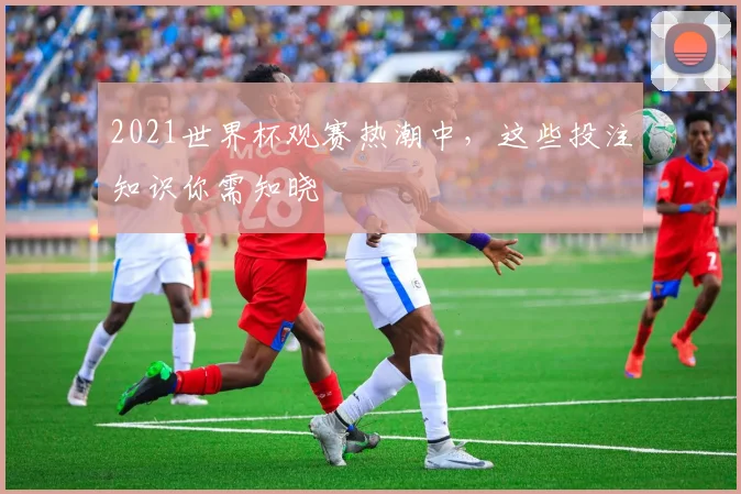 2021世界杯观赛热潮中，这些投注知识你需知晓