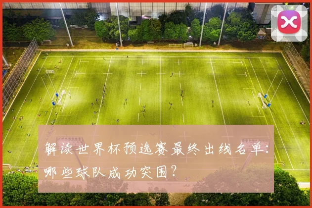 解读世界杯预选赛最终出线名单:哪些球队成功突围?