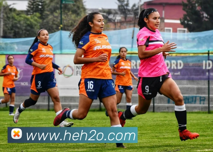 App Interface Preview